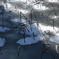 1093-2.jpg