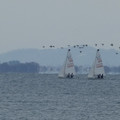 1096-3.jpg