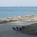 1097-1.jpg