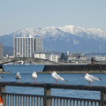1099-2.jpg