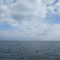 1129-2.jpg