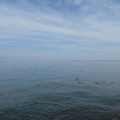 1130-1.jpg