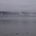 1132-2.jpg