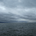1135-1.jpg