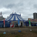 1135-2.jpg
