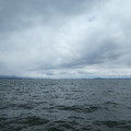 1136-1.jpg