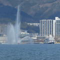 1137-1.jpg