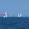 1137-3.jpg