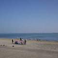 1139-3.jpg