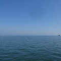 1141-1.jpg