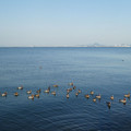 1141-3.jpg