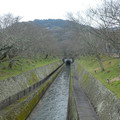 1146-1.jpg