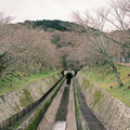 1146-2.jpg