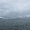 1147-1.jpg
