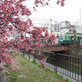 1148-3.jpg