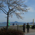 1151-3.jpg