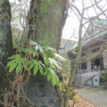 1152-1.jpg
