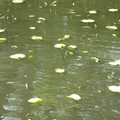1191-3.jpg