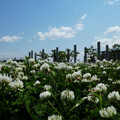 1192-1.jpg