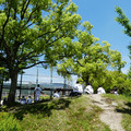 1194-3.jpg