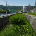 1203-3.jpg