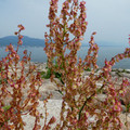 1204-3.jpg