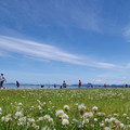 1208-3.jpg