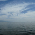 1214-1.jpg