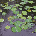 1219-3.jpg