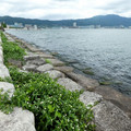 1252-1.jpg