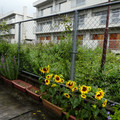 1256-3.jpg