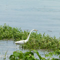 1258-3.jpg