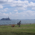 1259-1.jpg