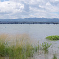 1259-3.jpg