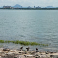 1260-2.jpg
