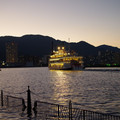 1265-1.jpg