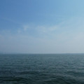 1266-1.jpg