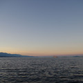 1266-2.jpg
