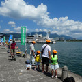 1271-1.jpg