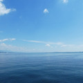 1273-1.jpg