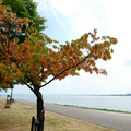 1277-3.jpg