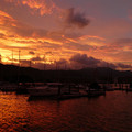 1279-1.jpg