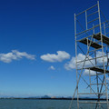 1281-3.jpg