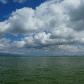 1315-1.jpg