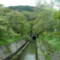 1316-3.jpg