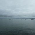 1321-1.jpg
