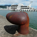1324-3.jpg