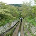 1326-1.jpg