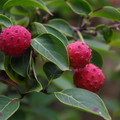 1328-3.jpg