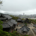 1334-1.jpg
